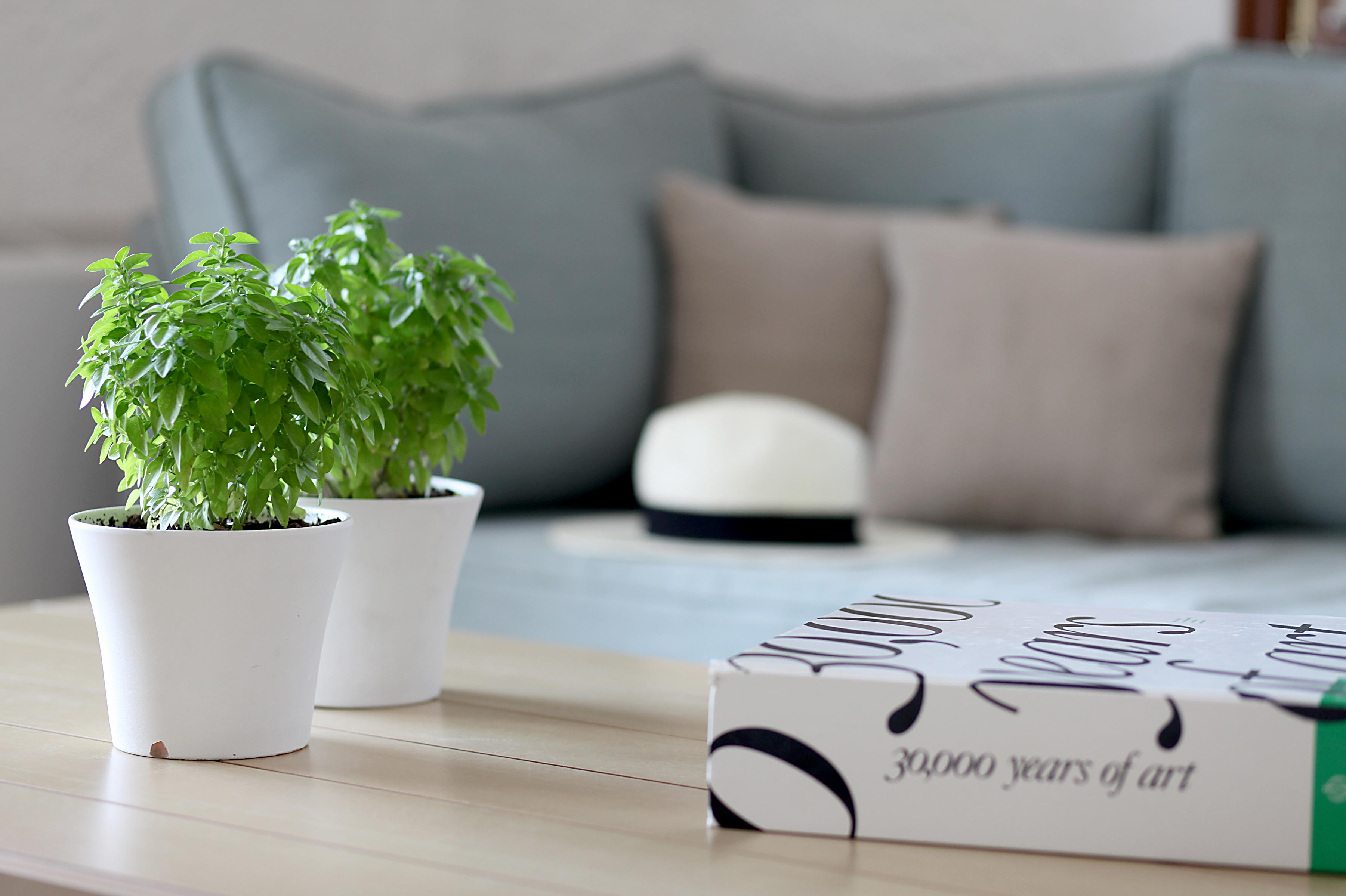 Skopelos Village Hotel Zewnętrze zdjęcie